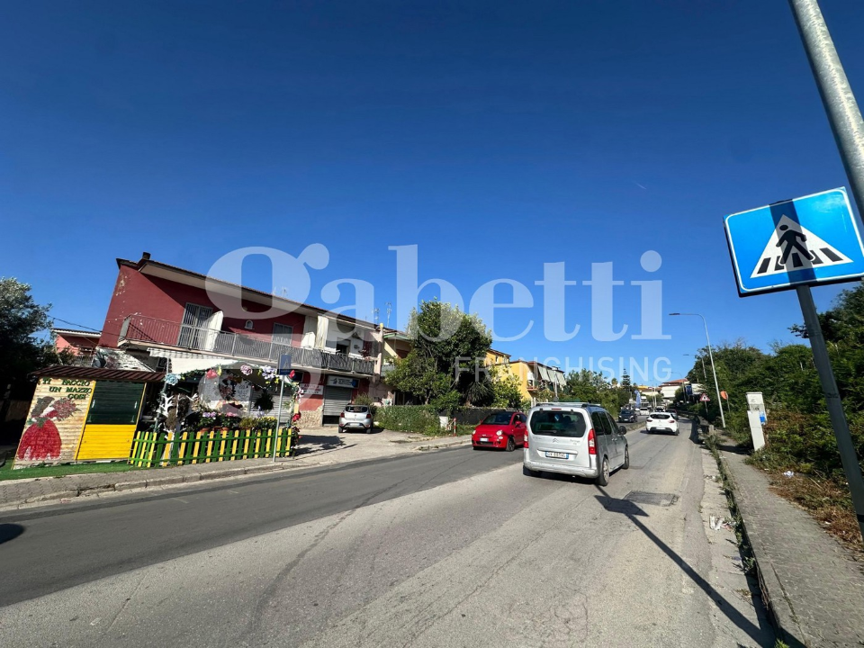 Terreno - Image 11