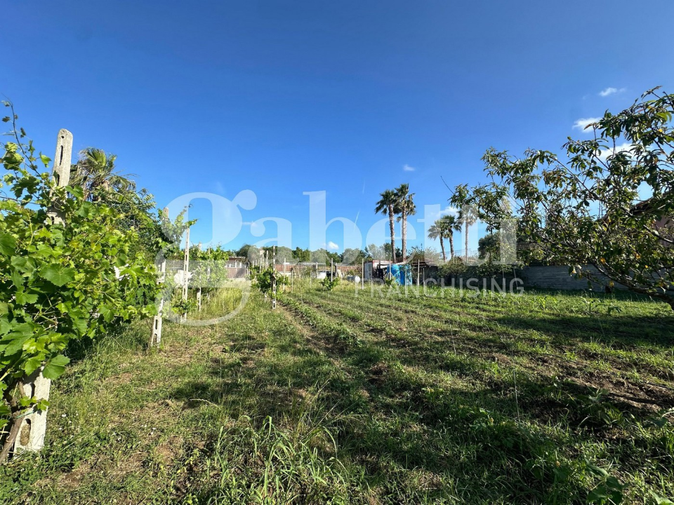 Terreno - Image 4