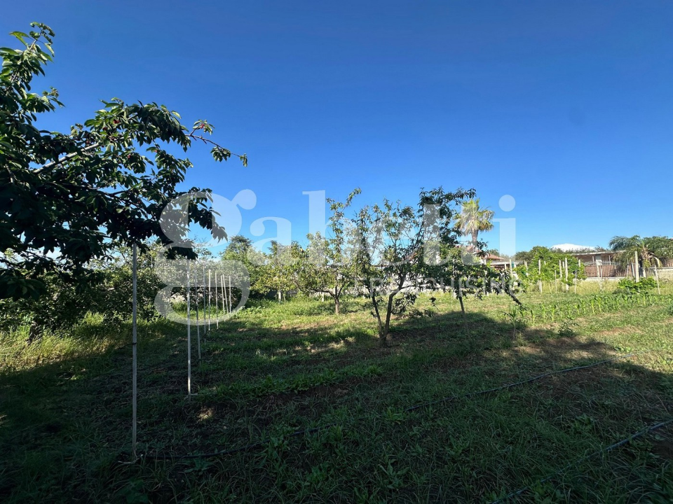 Terreno - Image 3