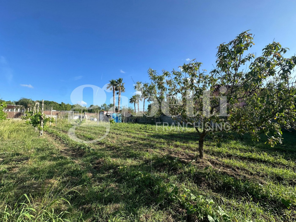 Terreno - Image 5