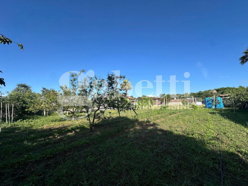 Terreno - Image 2