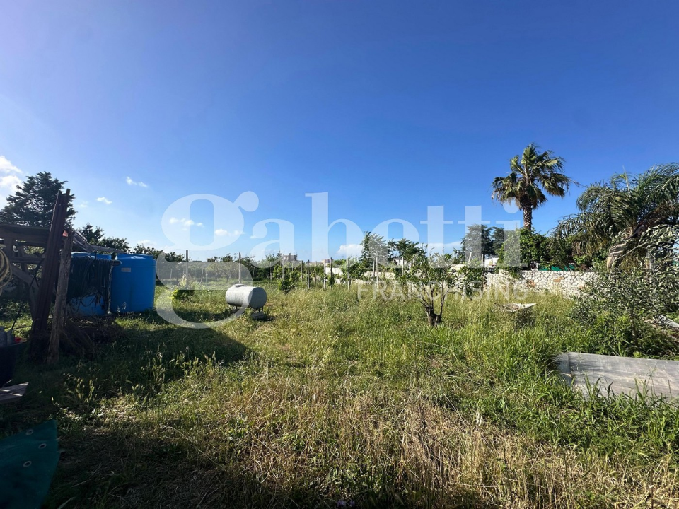 Terreno - Image 6