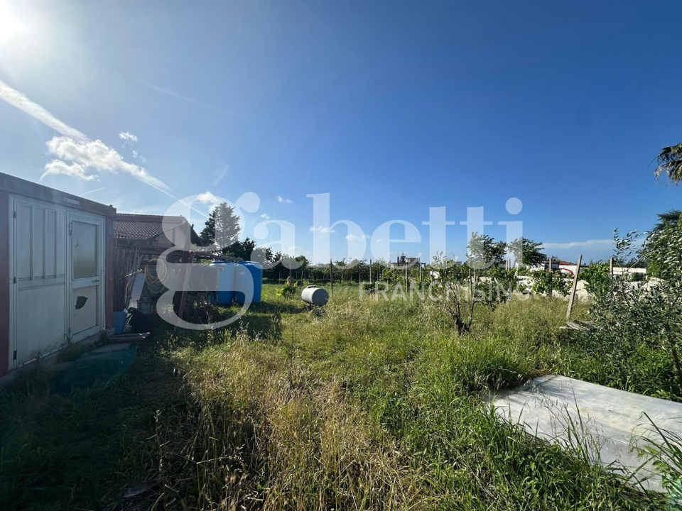 Terreno - Image 7