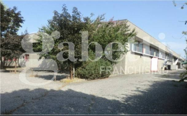 Capannone - Image 13