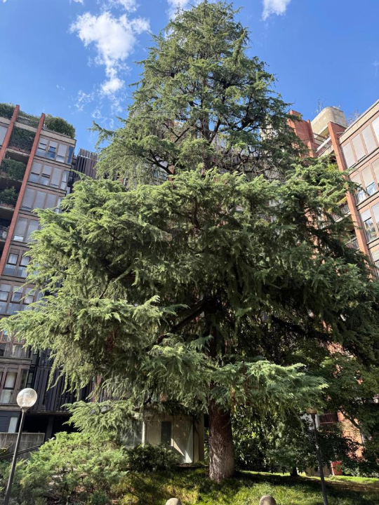 Appartamento - Image 28