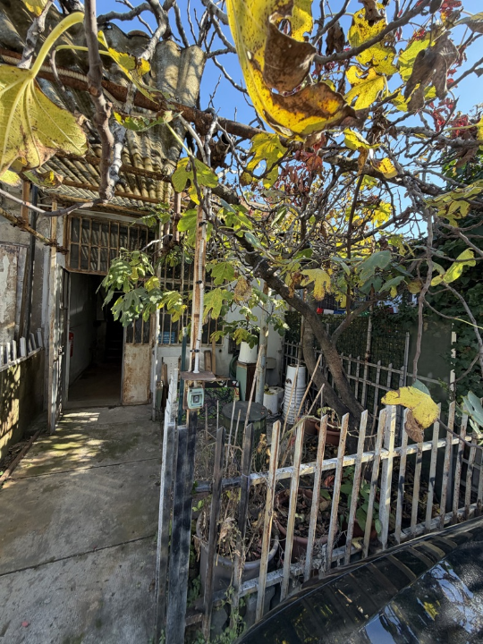 Laboratorio - Image 4