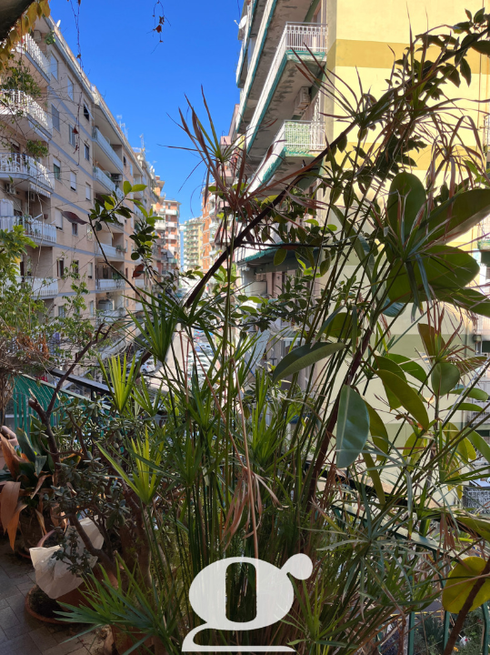 Appartamento - Image 6