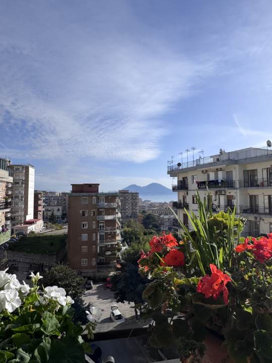 Appartamento - Image 4