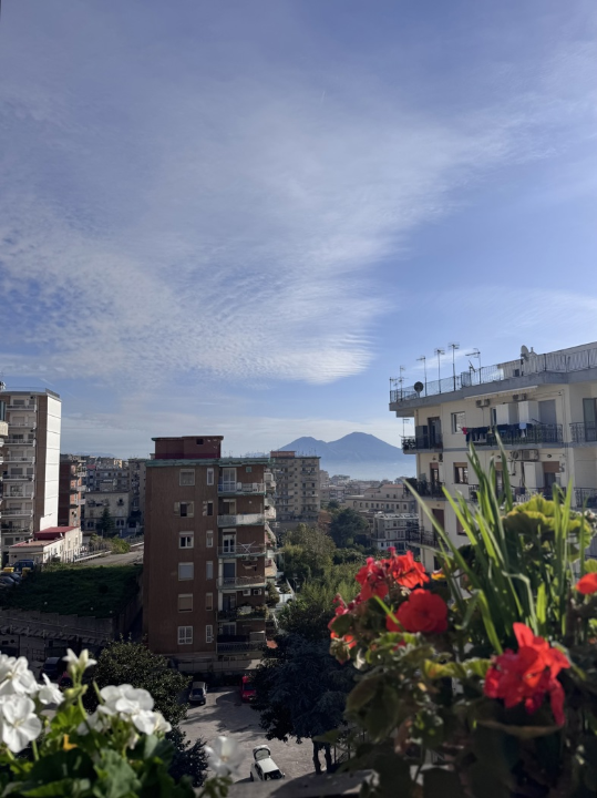 Appartamento - Image 49