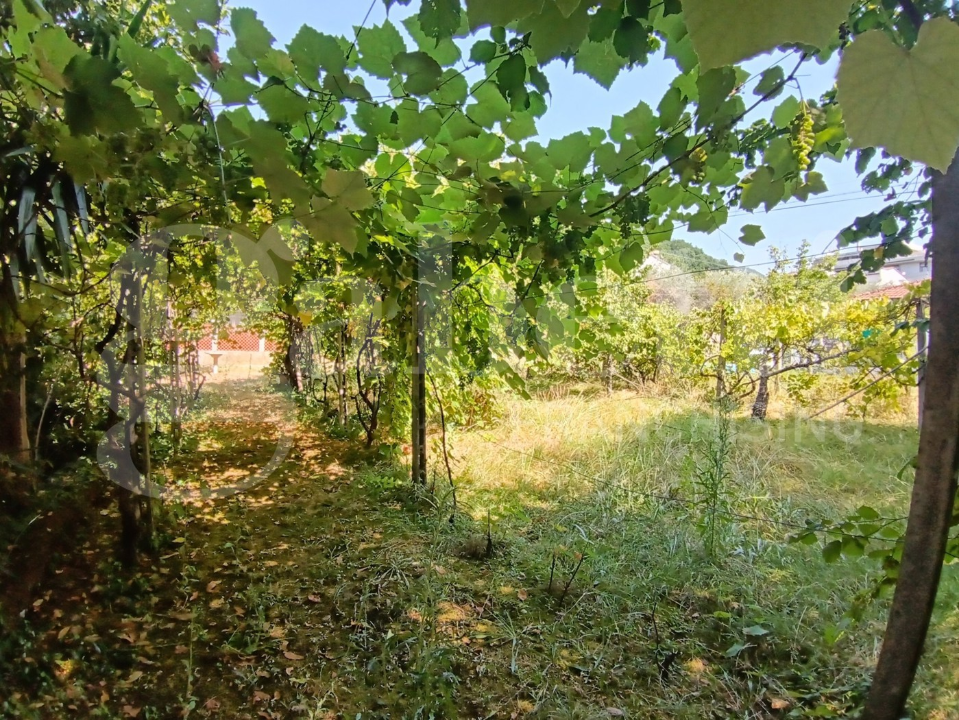 Appartamento - Image 4