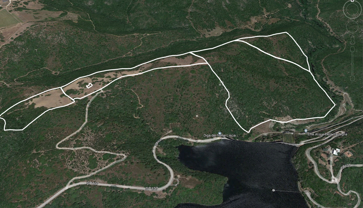 Terreno - Planimetry 2