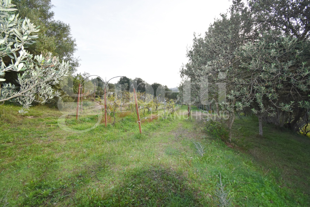 Casa Indipendente - Image 24