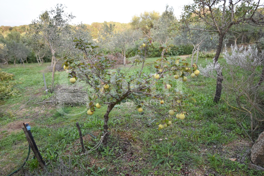 Casa Indipendente - Image 7