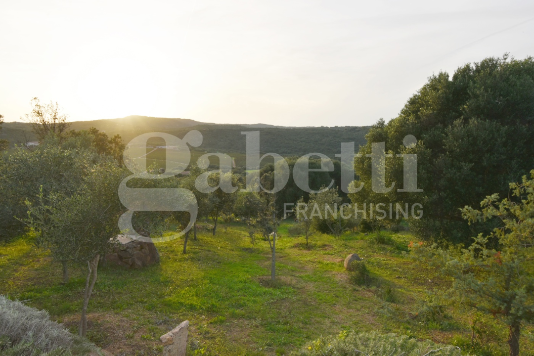 Casa Indipendente - Image 15