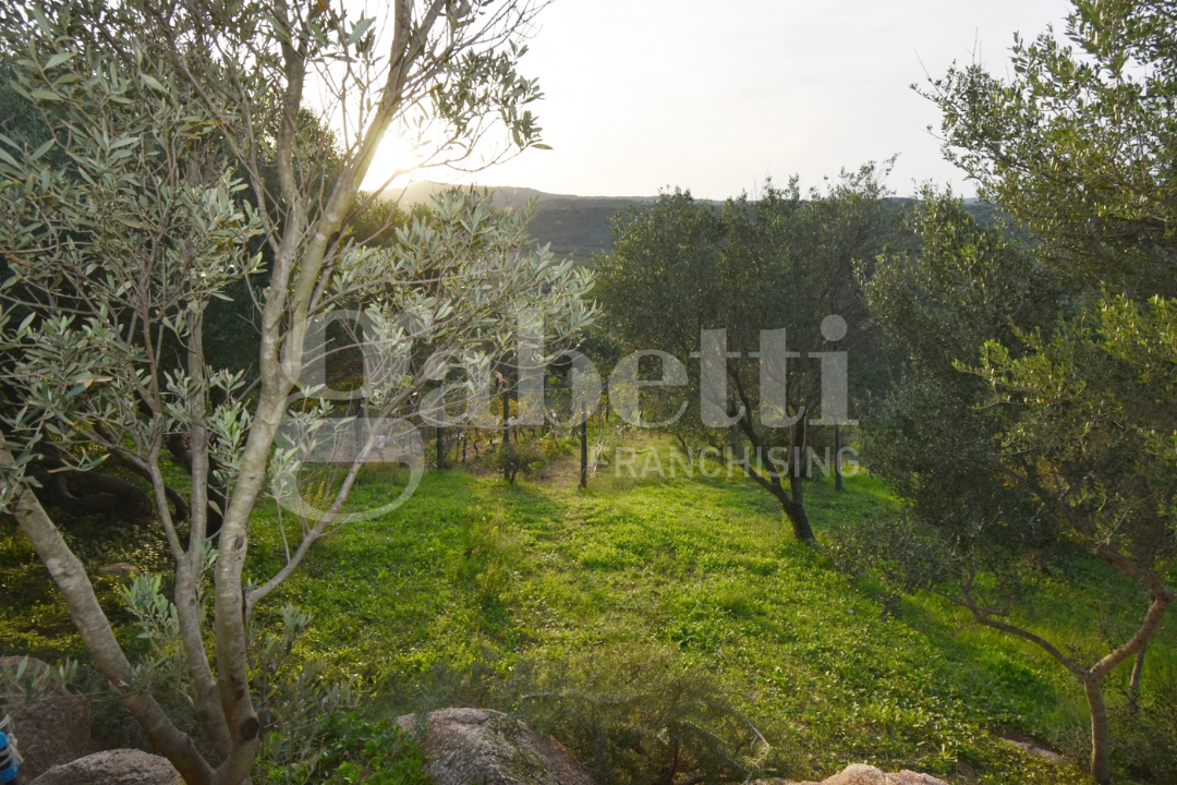 Casa Indipendente - Image 22