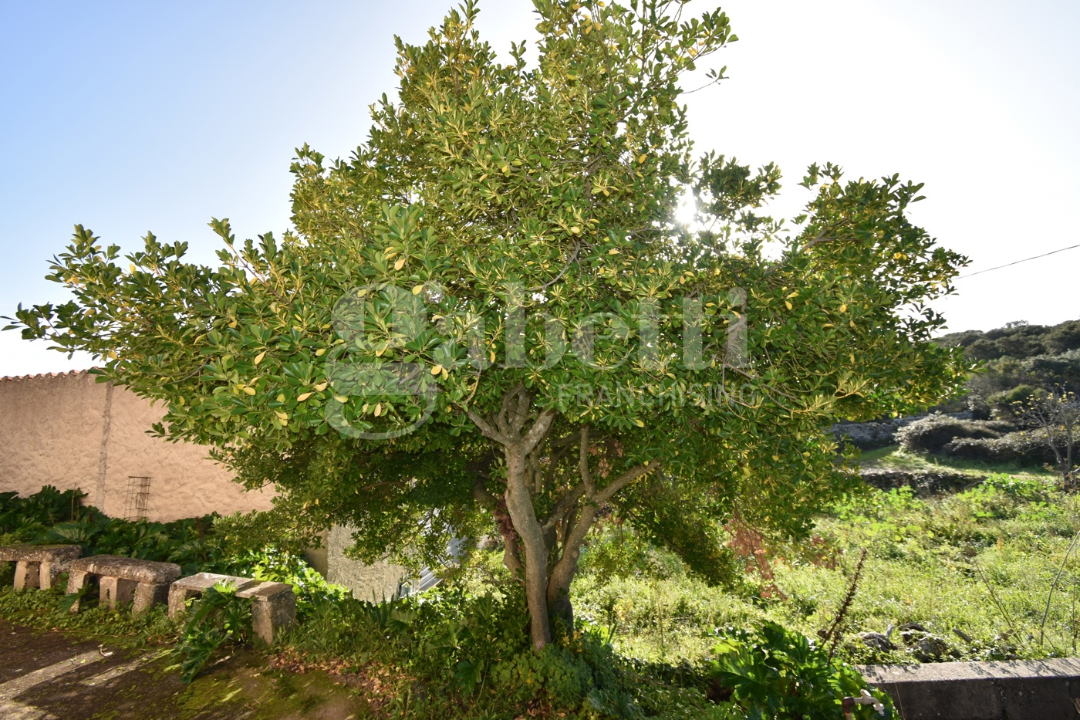 Casa Indipendente - Image 12