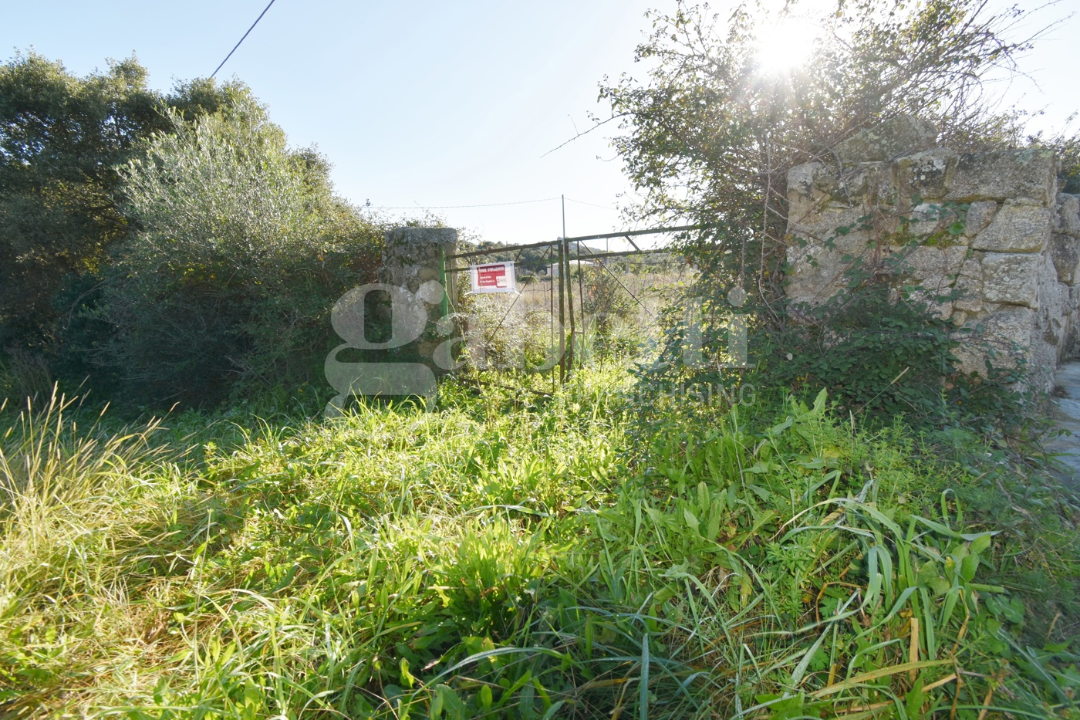 Terreno - Image 10