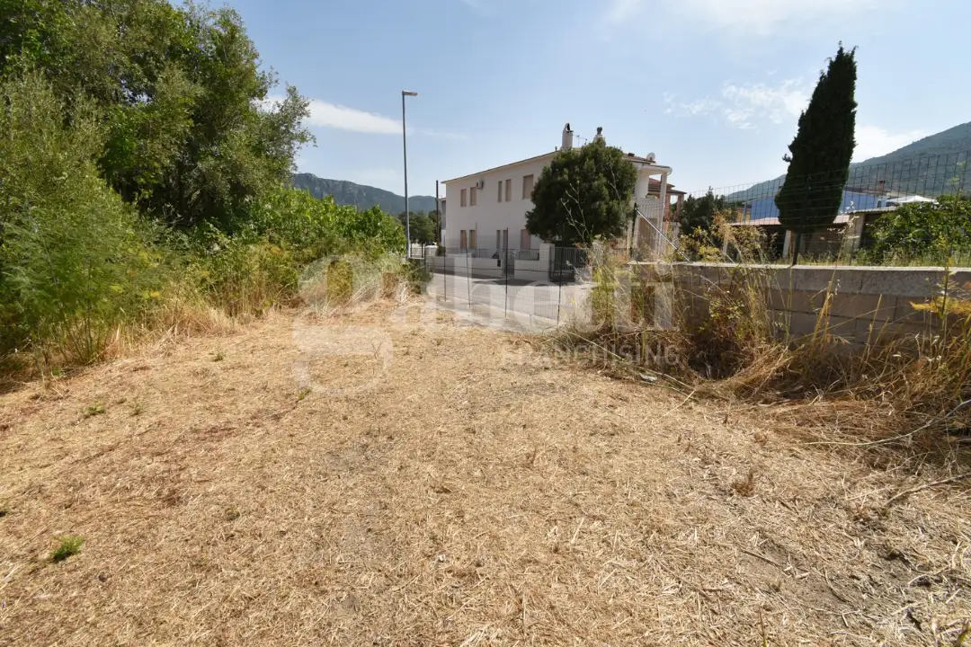 Terreno - Image 6