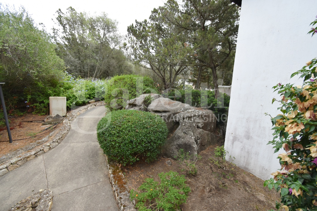 Appartamento - Image 7