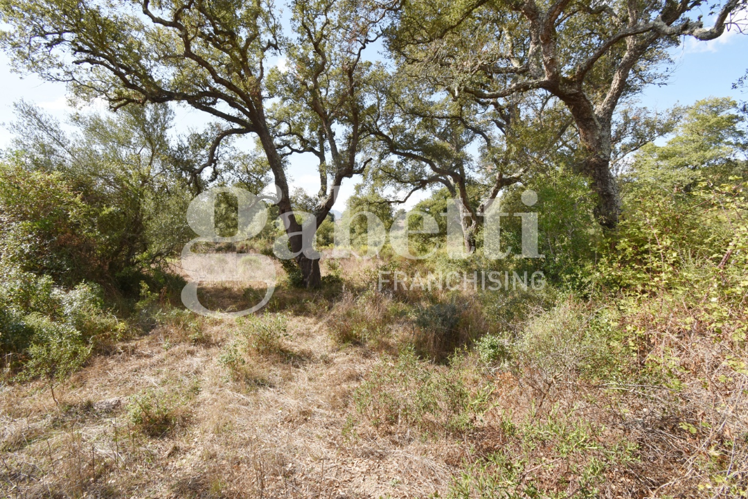 Terreno - Image 15