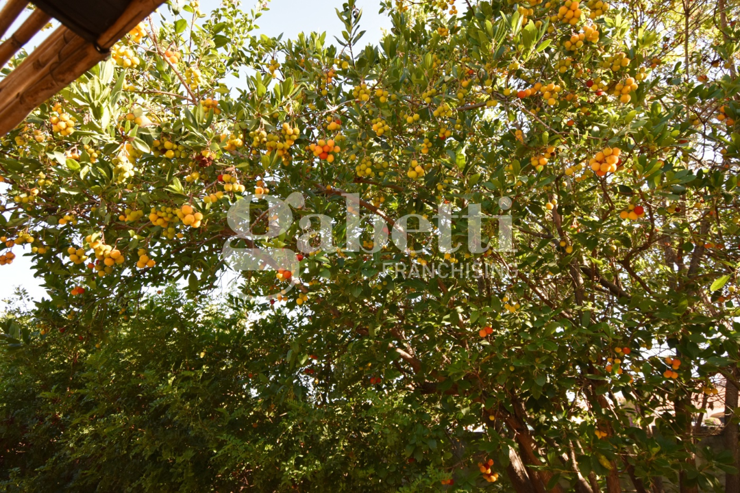 Appartamento - Image 14