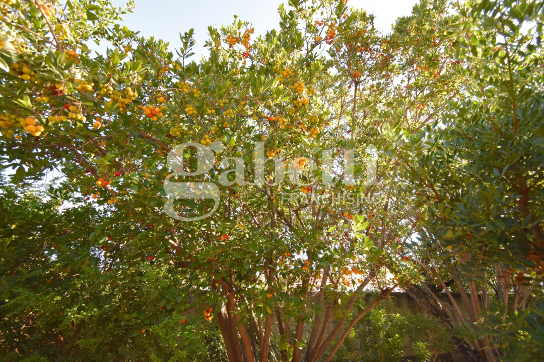 Appartamento - Image 13