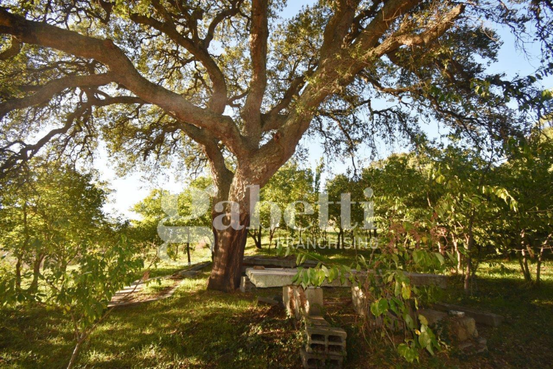 Casa Indipendente - Image 20