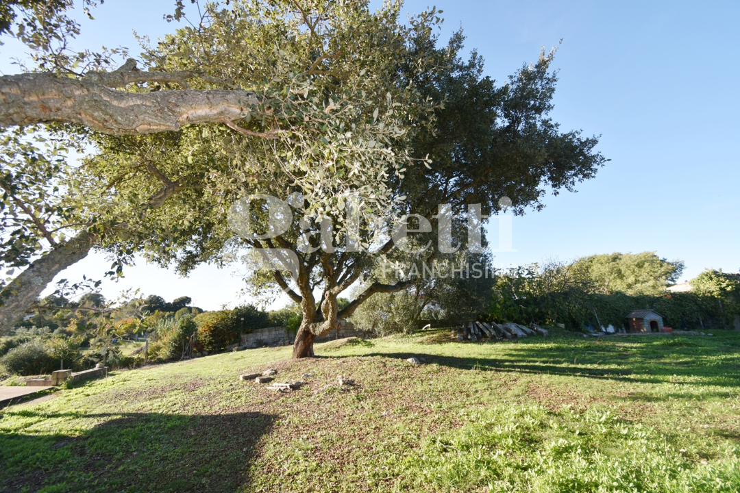 Casa Indipendente - Image 6