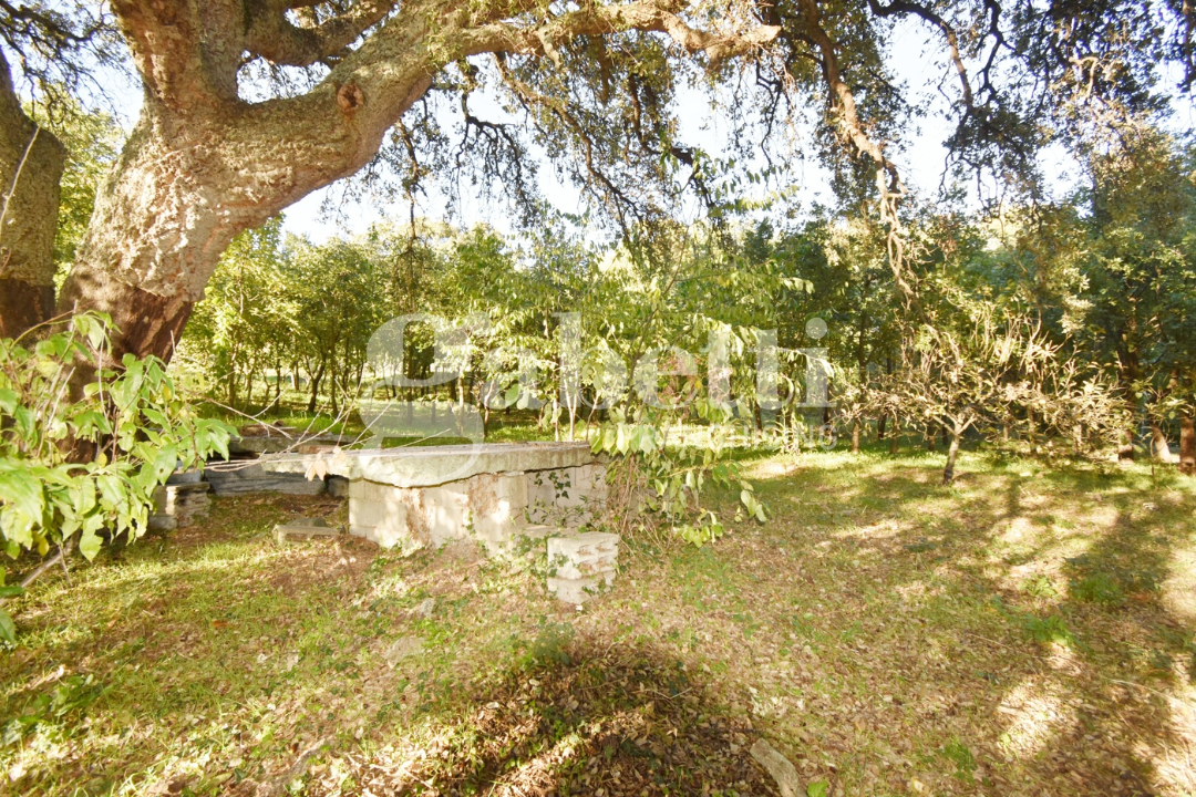 Casa Indipendente - Image 24