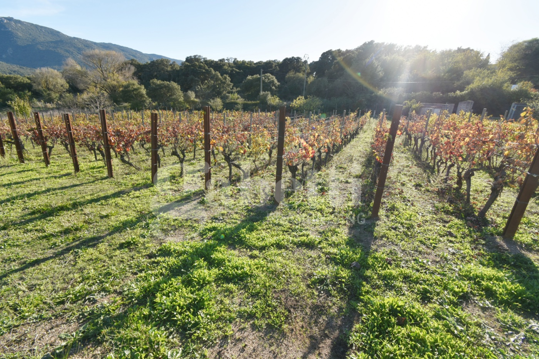 Casa Indipendente - Image 26