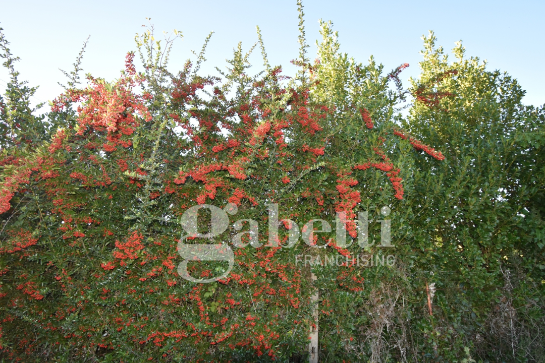 Casa Indipendente - Image 21