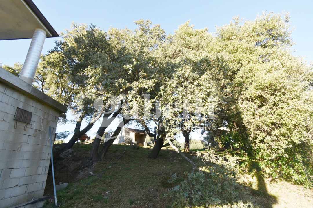 Casa Indipendente - Image 7