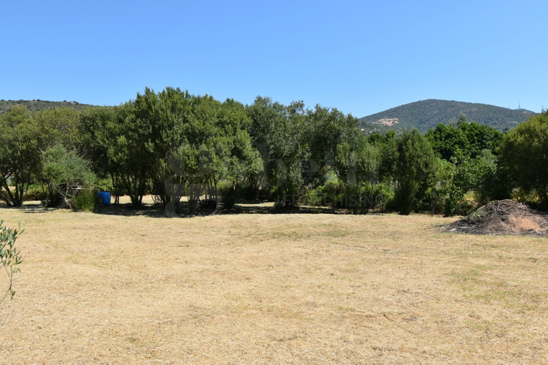 Terreno - Image 4