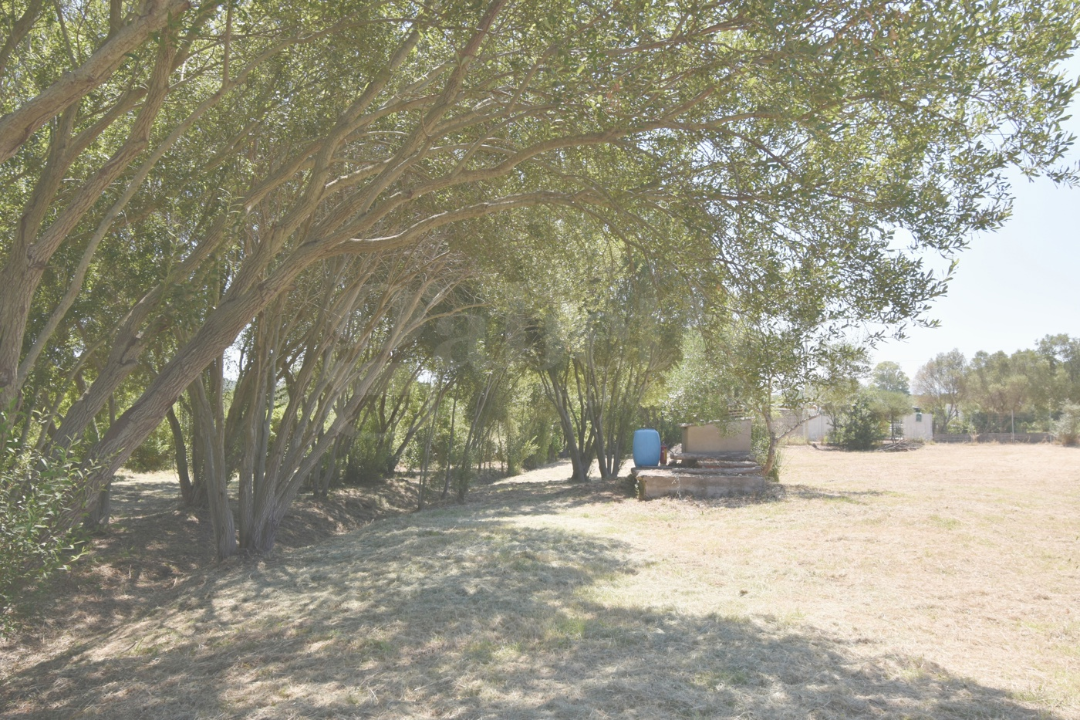 Terreno - Image 5