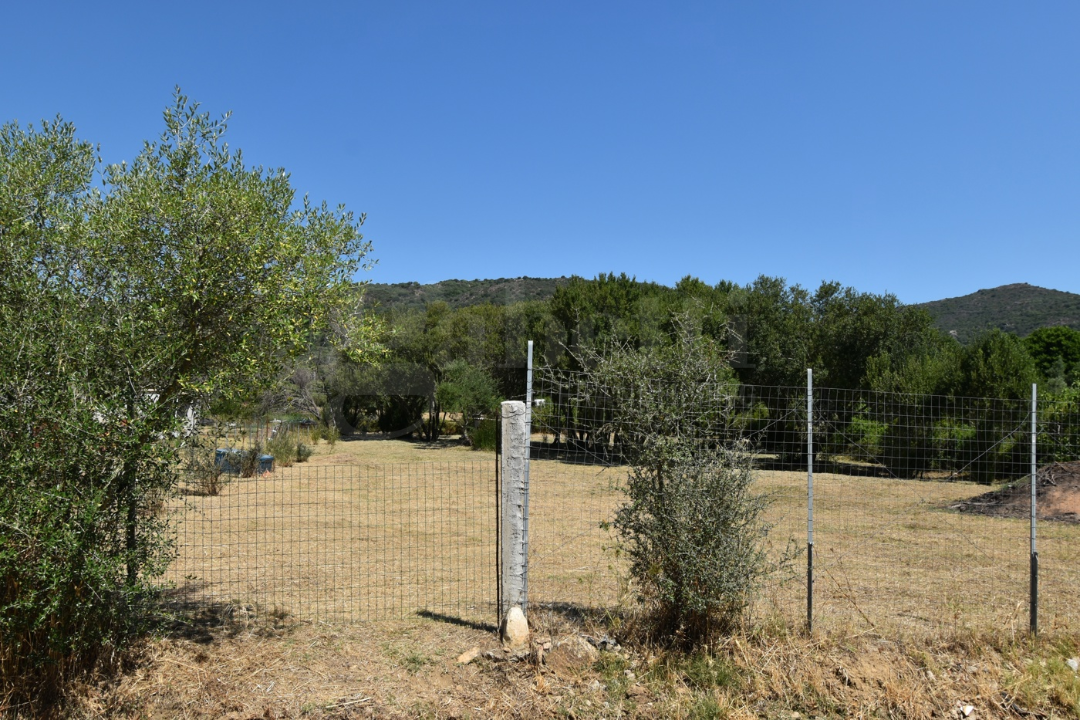 Terreno - Image 1