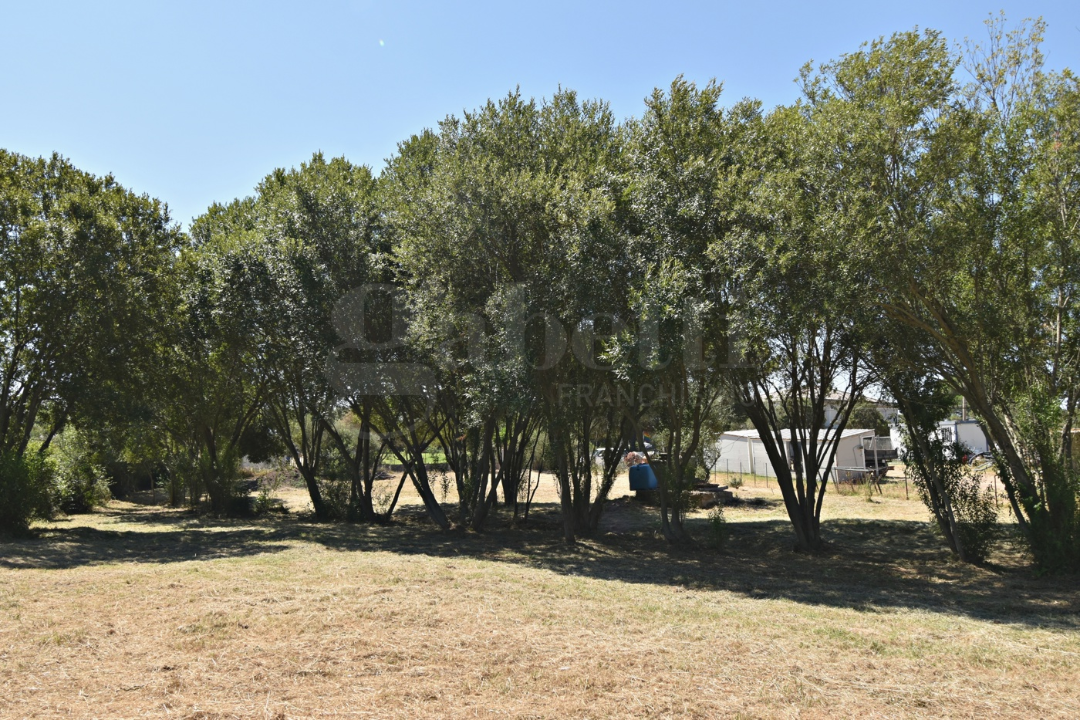 Terreno - Image 6