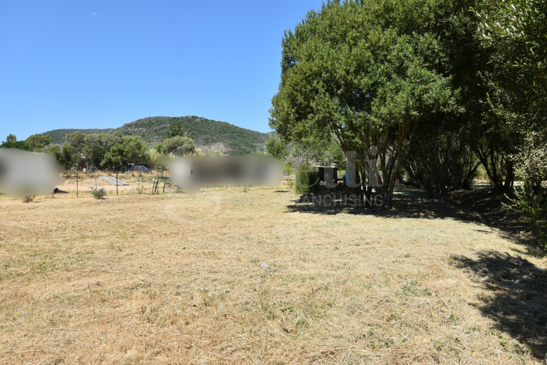Terreno - Image 10