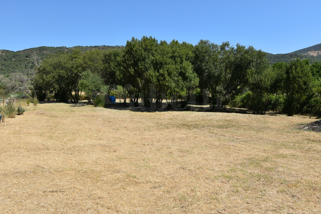 Terreno - Image 3