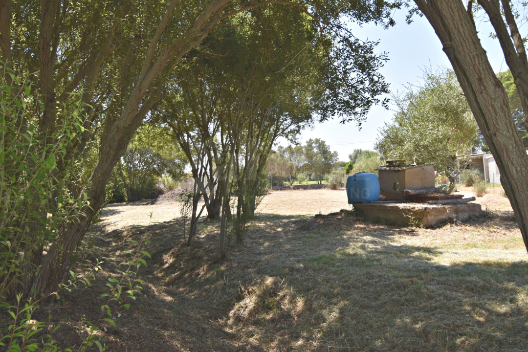 Terreno - Image 7