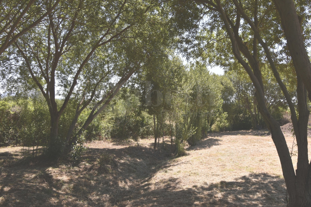 Terreno - Image 8