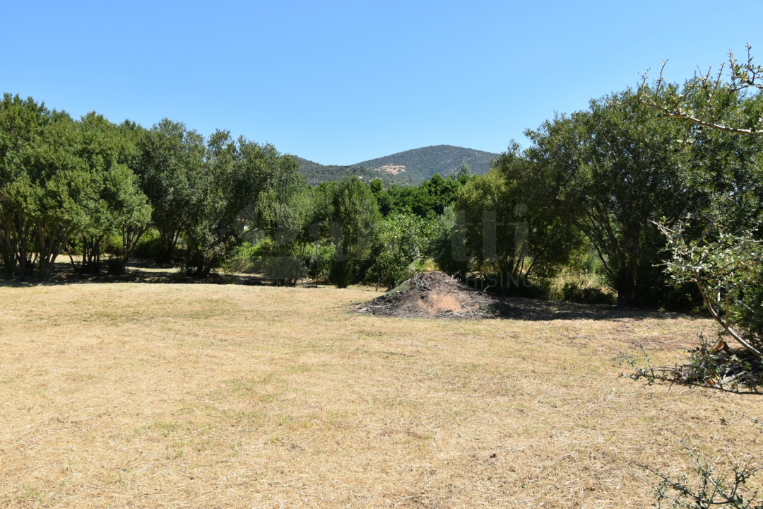 Terreno - Image 11