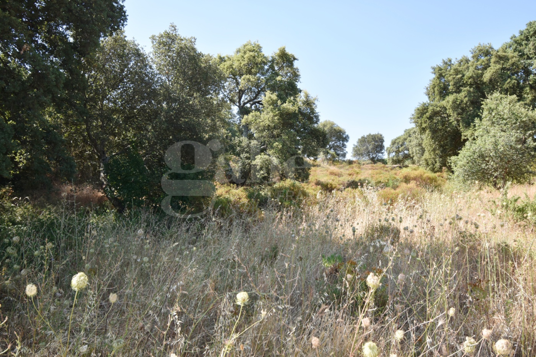 Casa Indipendente - Image 16