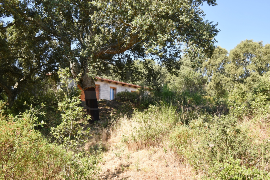 Casa Indipendente - Image 15