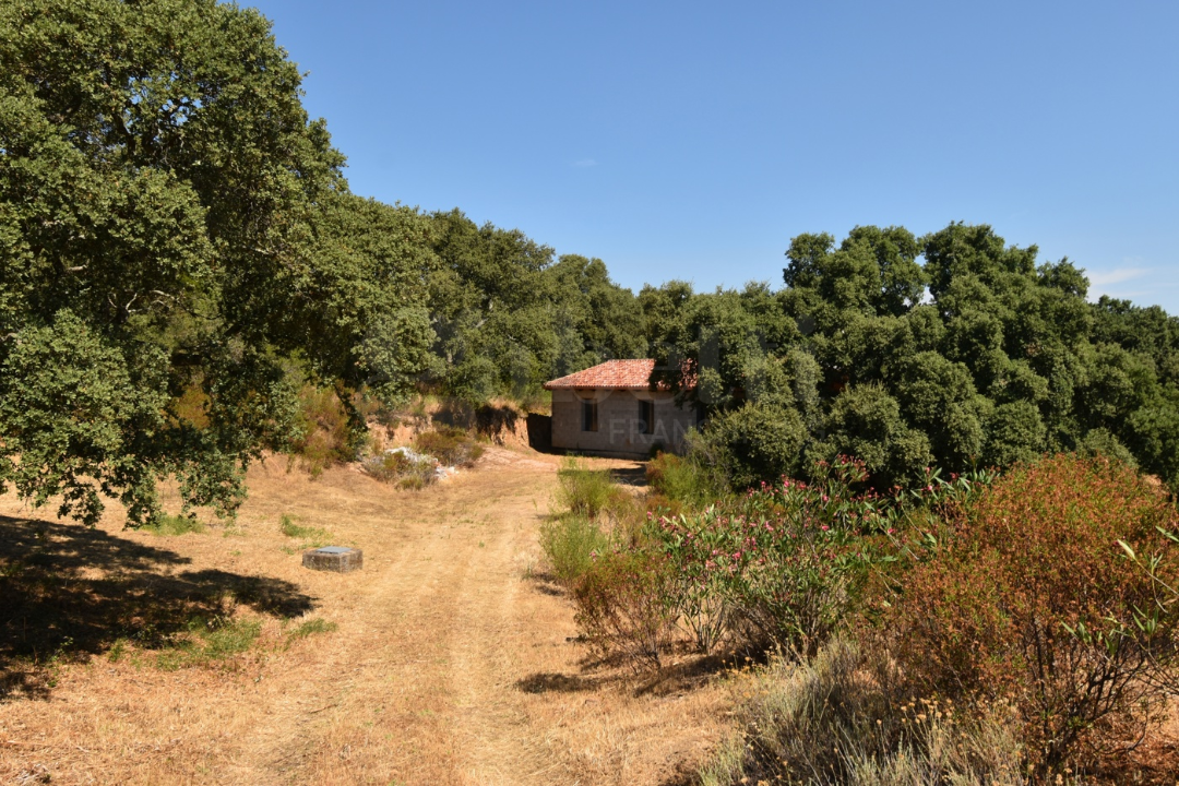 Casa Indipendente - Image 1