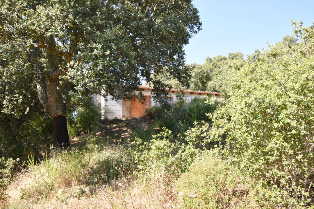 Casa Indipendente - Image 12