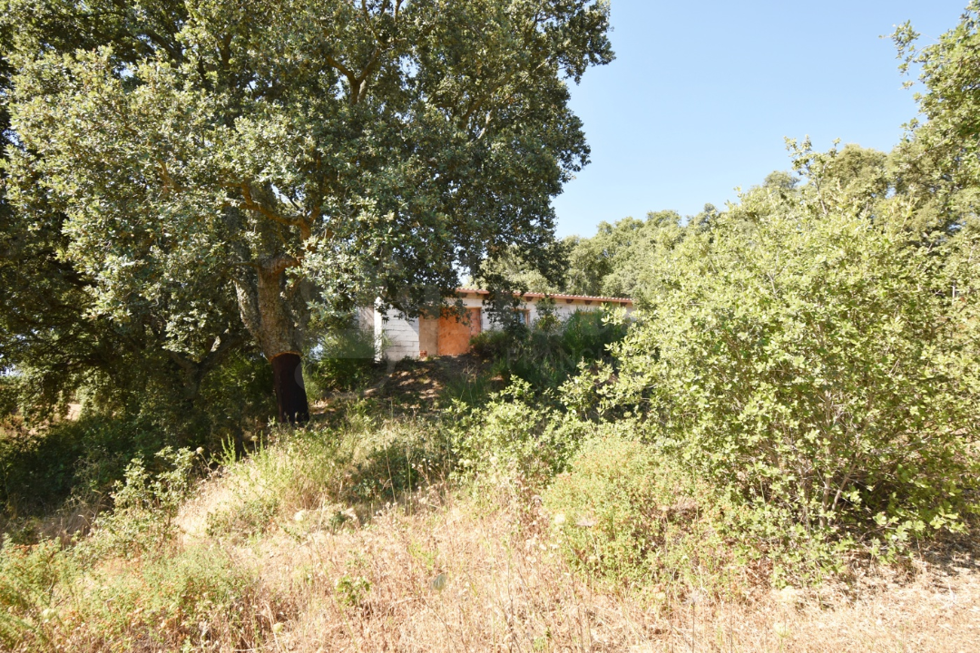 Casa Indipendente - Image 11