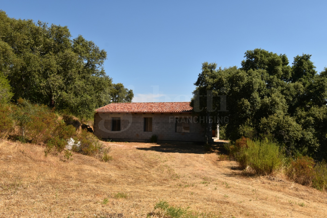 Casa Indipendente - Image 2