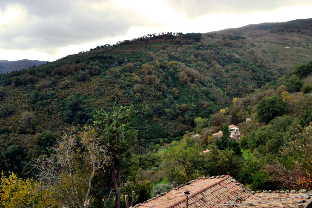 Casa Indipendente - Image 15