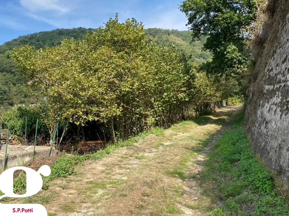 Casa Indipendente - Image 8