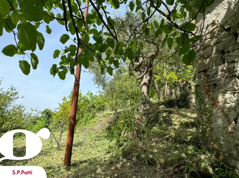 Casa Indipendente - Image 7